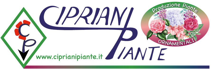 Cipriani Piante