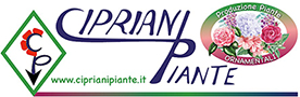 Cipriani Piante